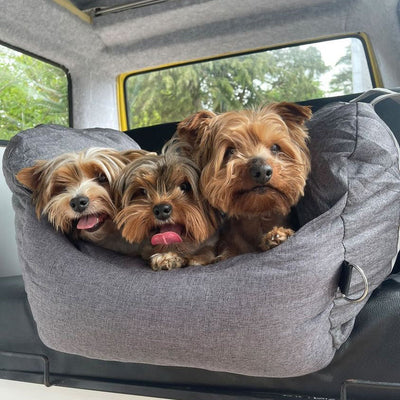 Dog Car Seat Bed – First Class Booster with Safety Belt, Washable Cushion & Travel Carrier