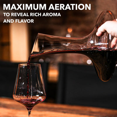 Glass Wine Decanter With Aerator