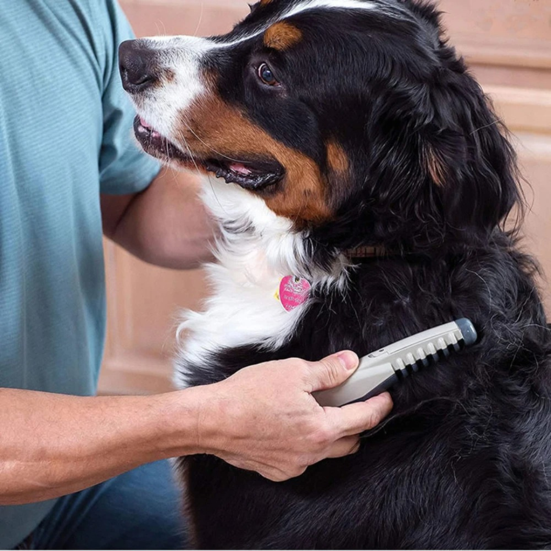 Pet Grooming Comb Plastic Detangling Tool