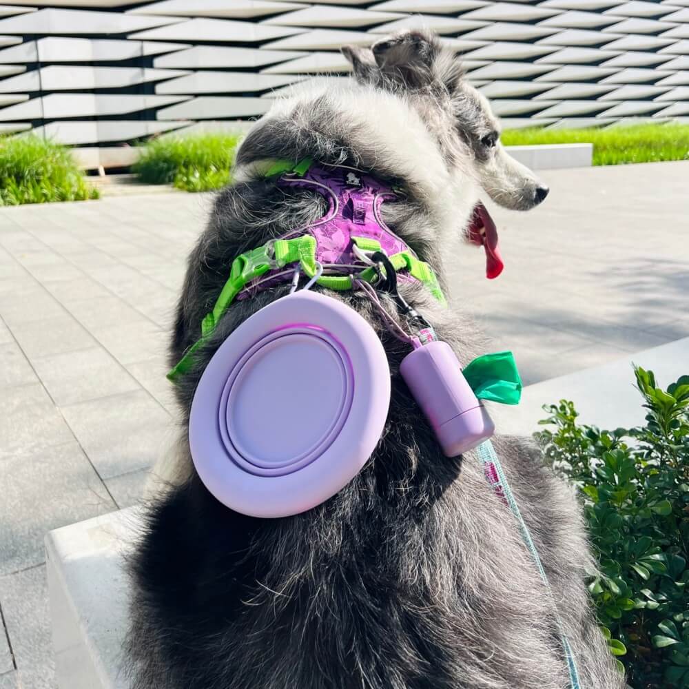 Collapsible Dog Bowl – Portable Silicone Travel Bowl, 500 ml