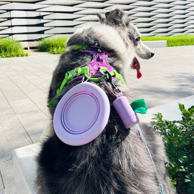 Collapsible Dog Bowl – Portable Silicone Travel Bowl, 500 ml