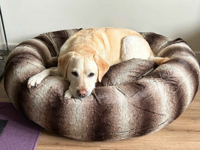 Donut Dog Bed – Calming Orthopedic Washable Luxury Nest for Medium to XL Dogs