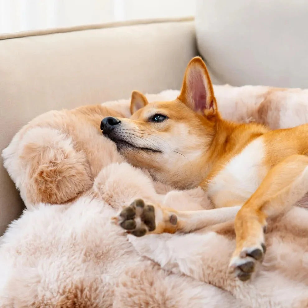 Calming Dog Bed Sofa Protector – 2-in-1 Couch Cover with Bolster, Washable & Non-Slip (S–XL)