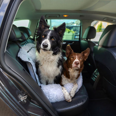 Pet Travel Bed Memory Foam Cushion Seat