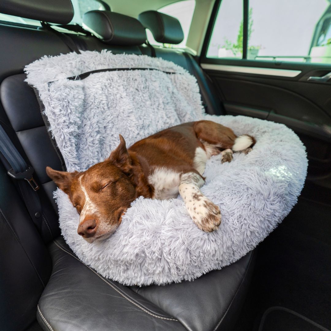 Pet Travel Bed Memory Foam Cushion Seat