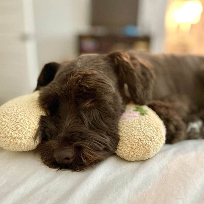 Dog Bed Calming Fleece Anti-Anxiety Pillow