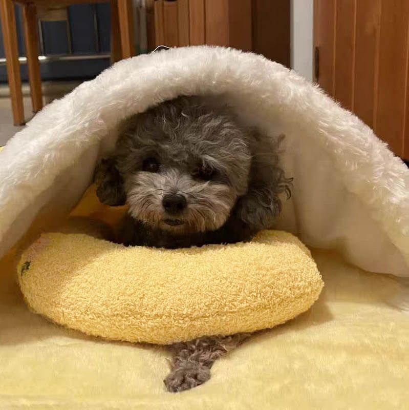 Dog Bed Calming Fleece Anti-Anxiety Pillow