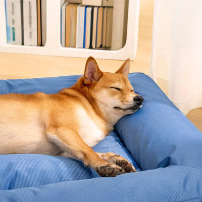 Orthopedic Waterproof Dog Bed for Large Dogs – Anti-Anxiety 360° Bolster, Washable (M–3XL)