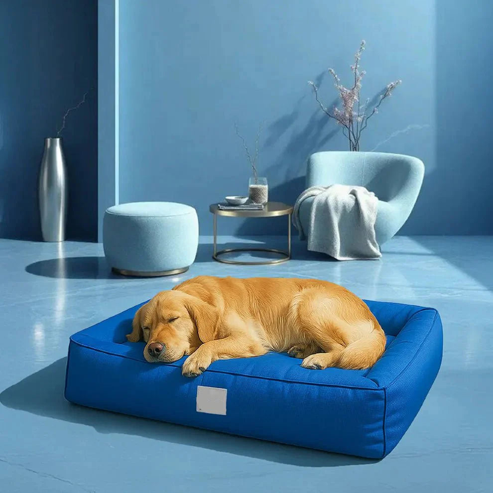 Orthopedic Waterproof Dog Bed for Large Dogs – Anti-Anxiety 360° Bolster, Washable (M–3XL)