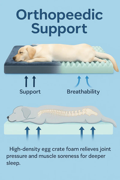 Orthopedic Waterproof Dog Bed Mat for Large Dogs – Dual-Sided, Memory Foam, Washable (XL)