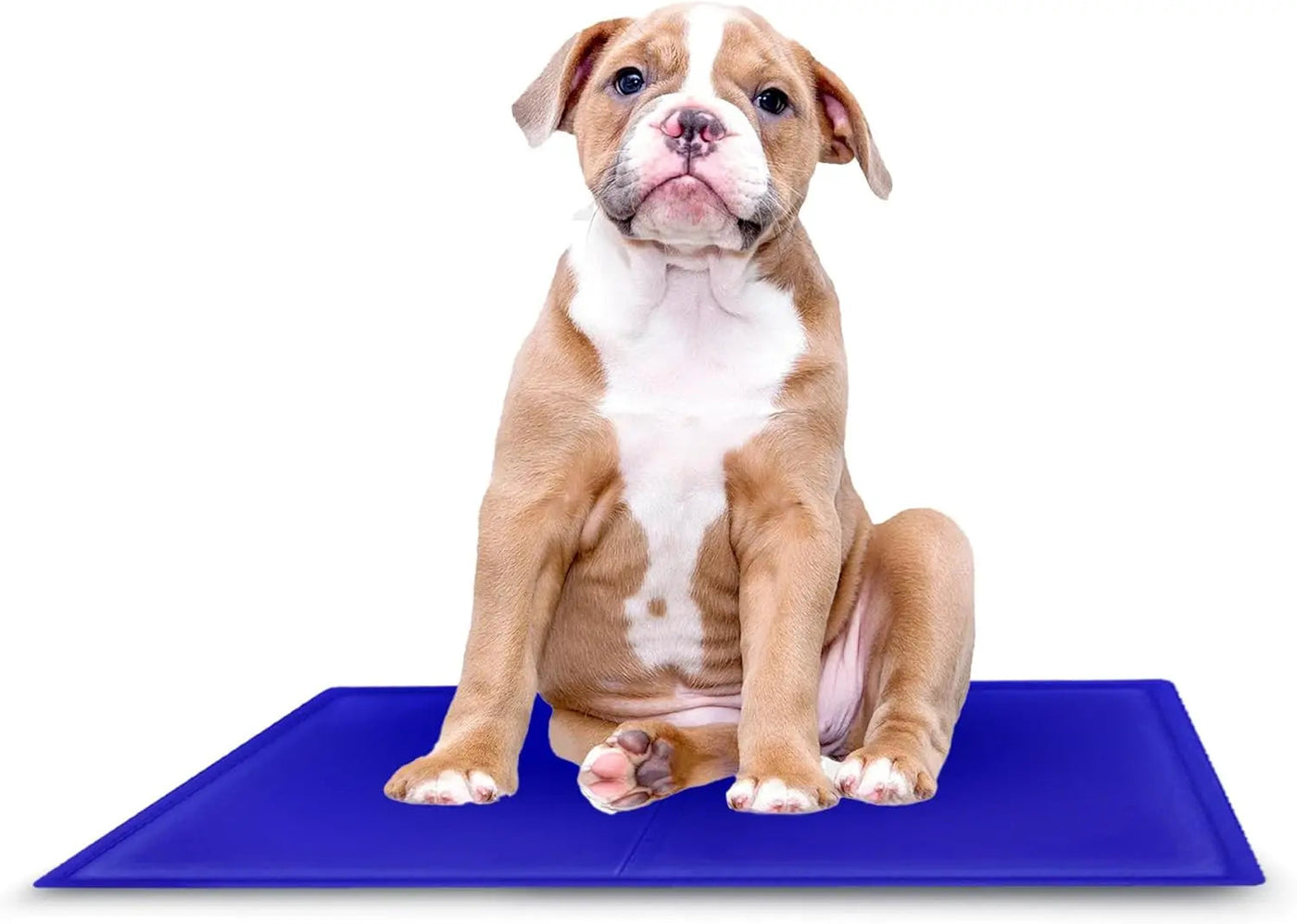 Cooling Dog Mat 64 × 44 cm